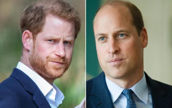 Prince Harry ‘missing’ Prince William after calling brother ‘villian’ in memoir